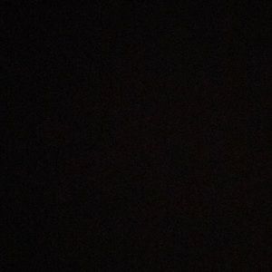 Meet your Posher, Patty